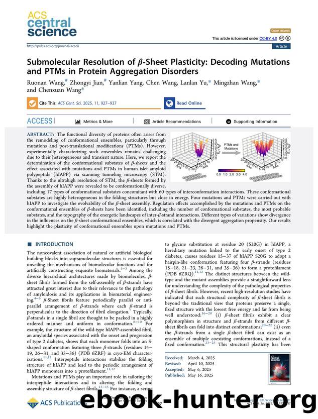 Submolecular Resolution of Î²-Sheet Plasticity: Decoding Mutations and PTMs in Protein Aggregation Disorders by Ruonan Wang & Zhongyi Jian & Yanlian Yang & Chen Wang & Lanlan Yu & Mingzhan Wang & Chenxuan Wang