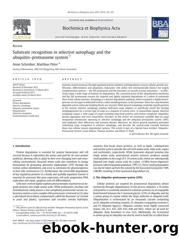 Substrate recognition in selective autophagy and the ubiquitinâproteasome system by Anne Schreiber & Matthias Peter