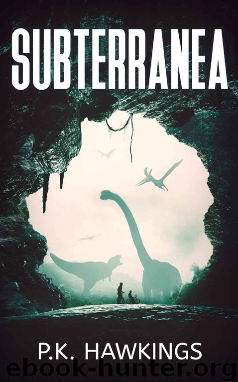 Subterranea by P K Hawkins