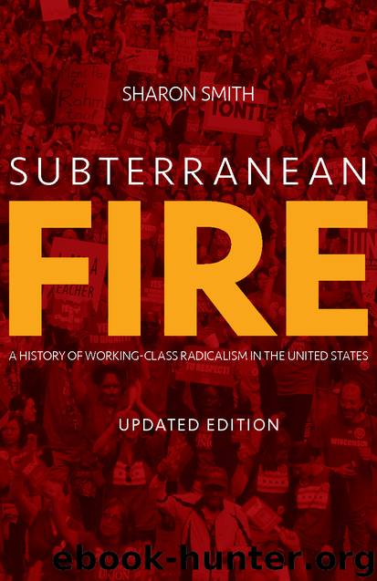 Subterranean Fire (Updated Edition) by Sharon Smith