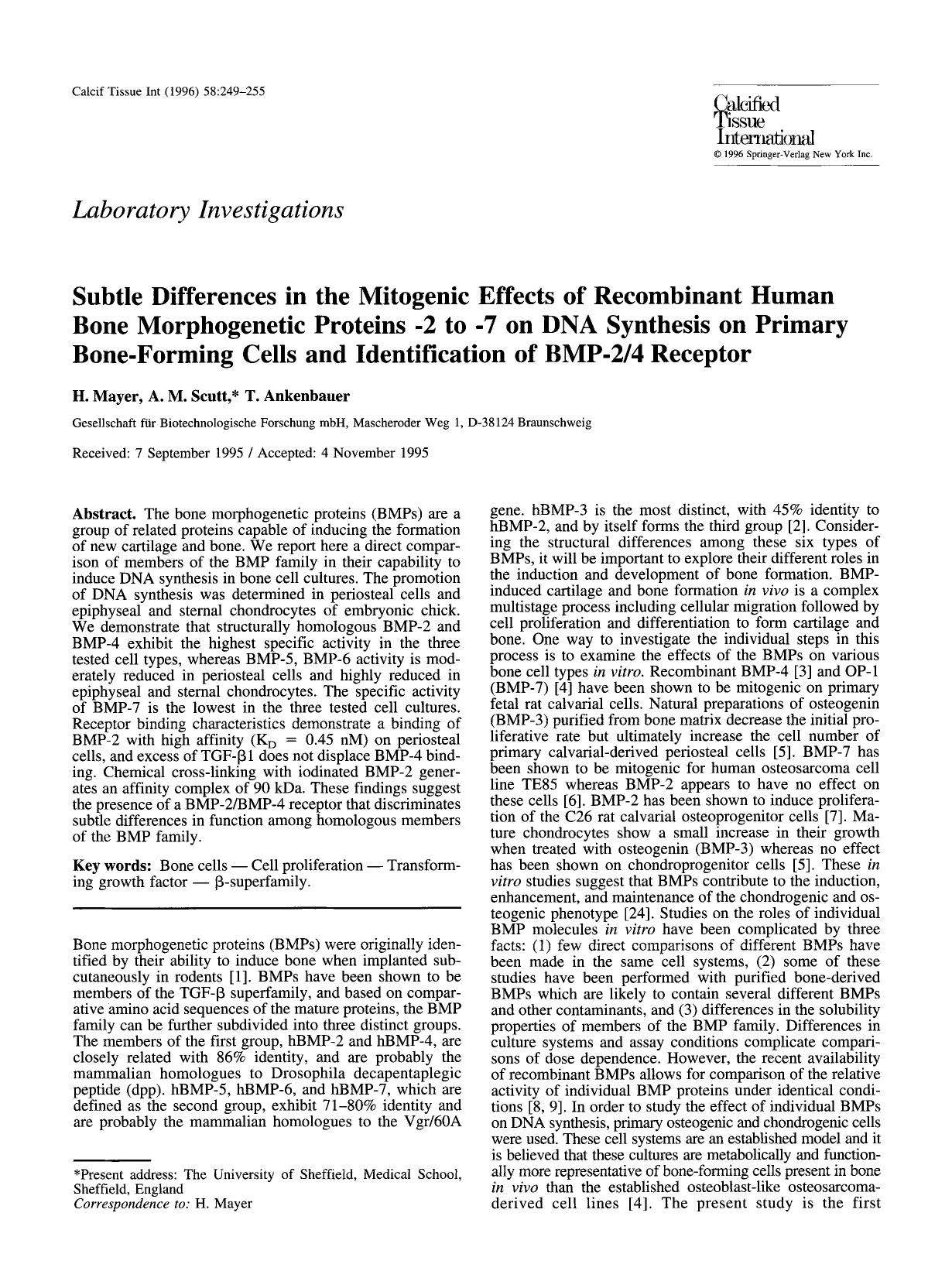 Subtle differences in the mitogenic effects of recombinant human bone morphogenetic proteins &#x2212;2 to &#x2212;7 on DNA synthesis on primary bone-forming cells and identification of BMP-24 receptor by Unknown