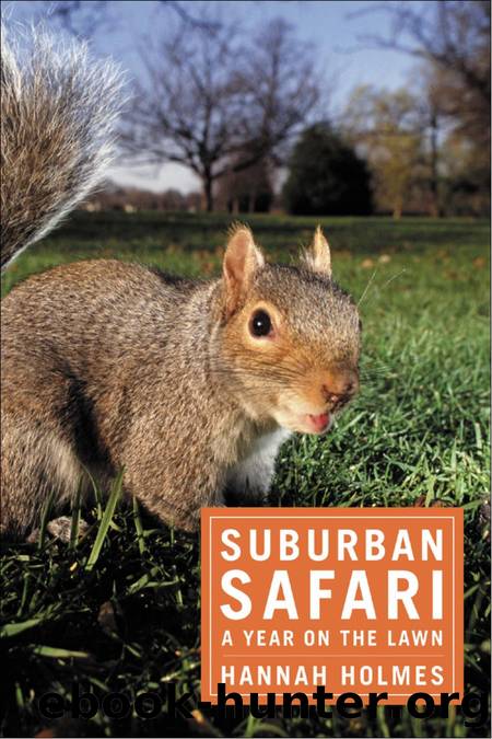 Suburban Safari by Hannah Holmes