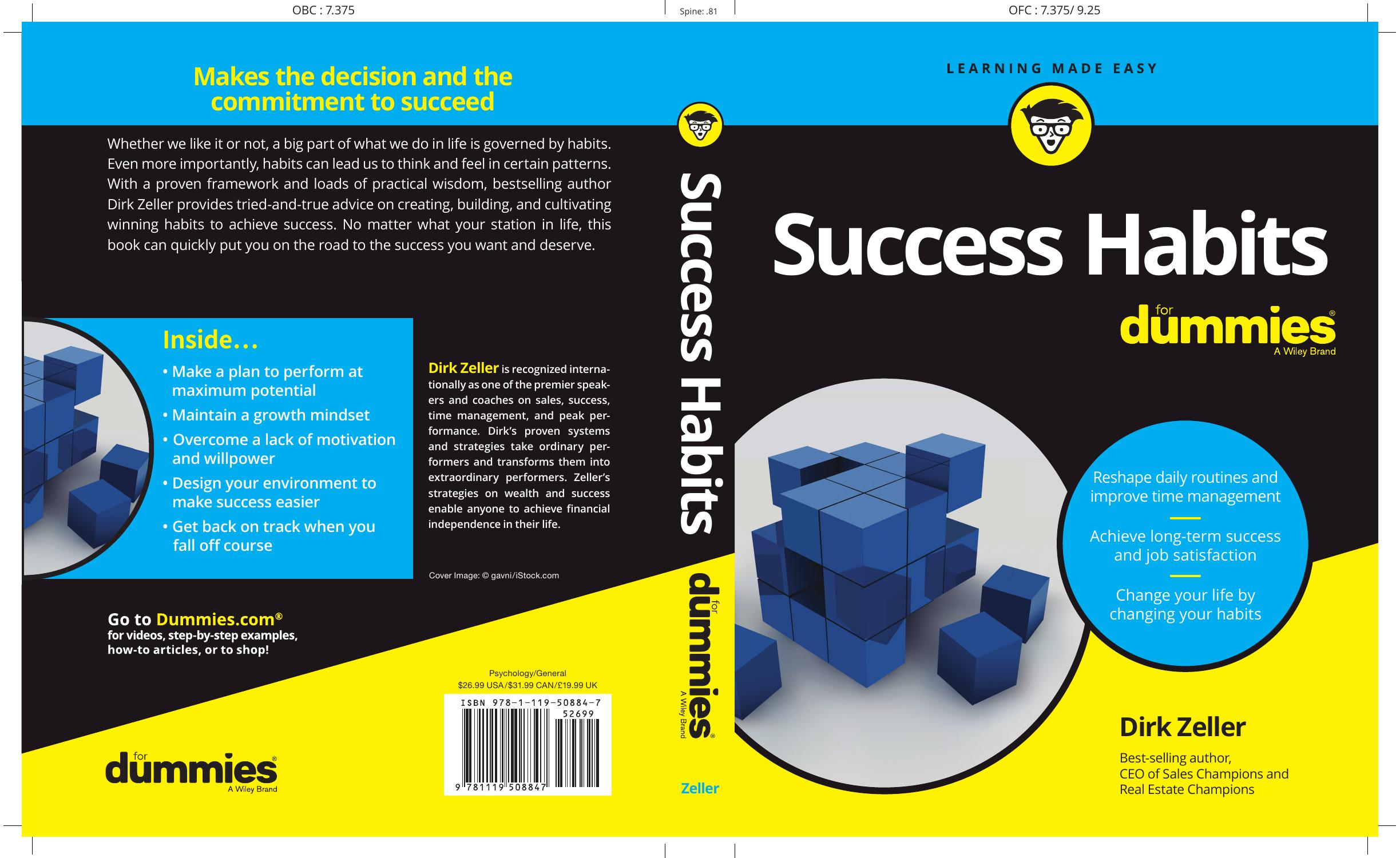 Success Habits For Dummies by Dirk Zeller