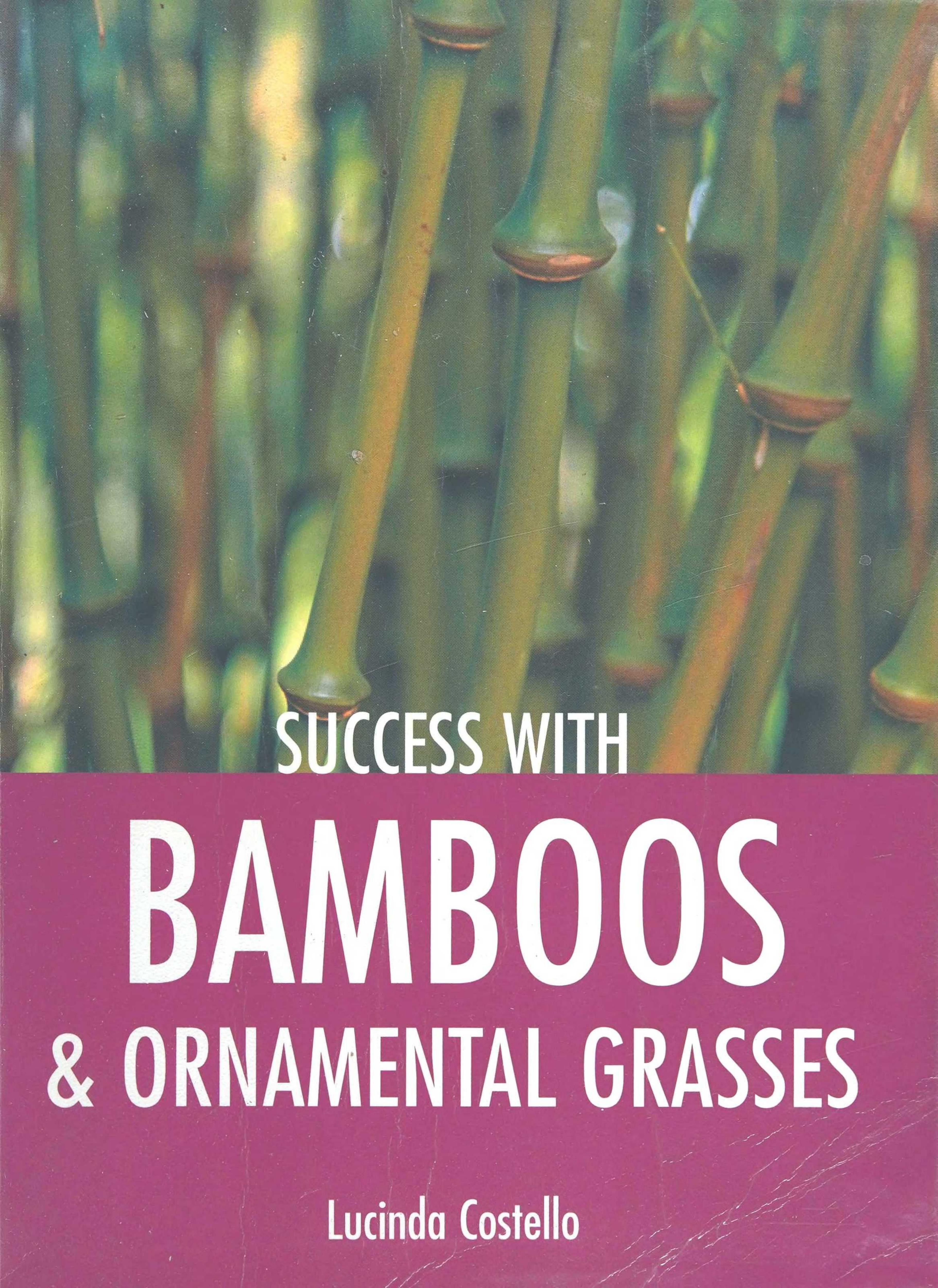 Success with Bamboos & Ornamental Grasses by Lucinda Costello