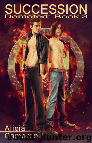 Succession by Cameron Alicia