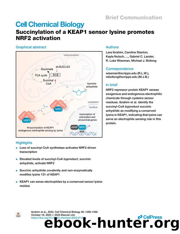 Succinylation of a KEAP1 sensor lysine promotes NRF2 activation by unknow