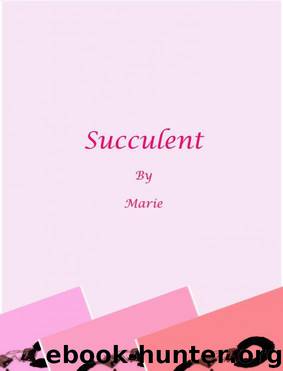 Succulent by Marie