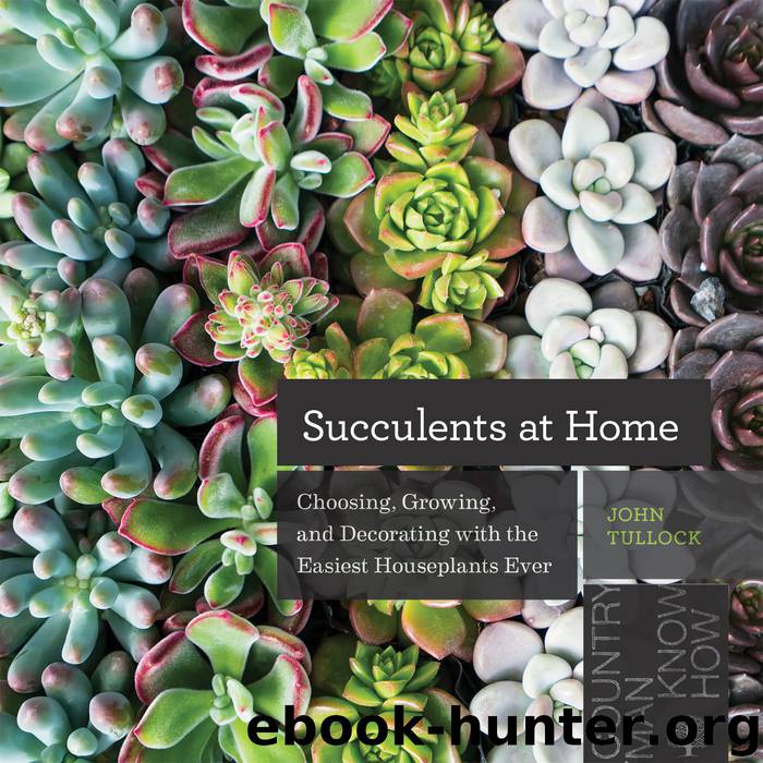 Succulents at Home by John Tullock