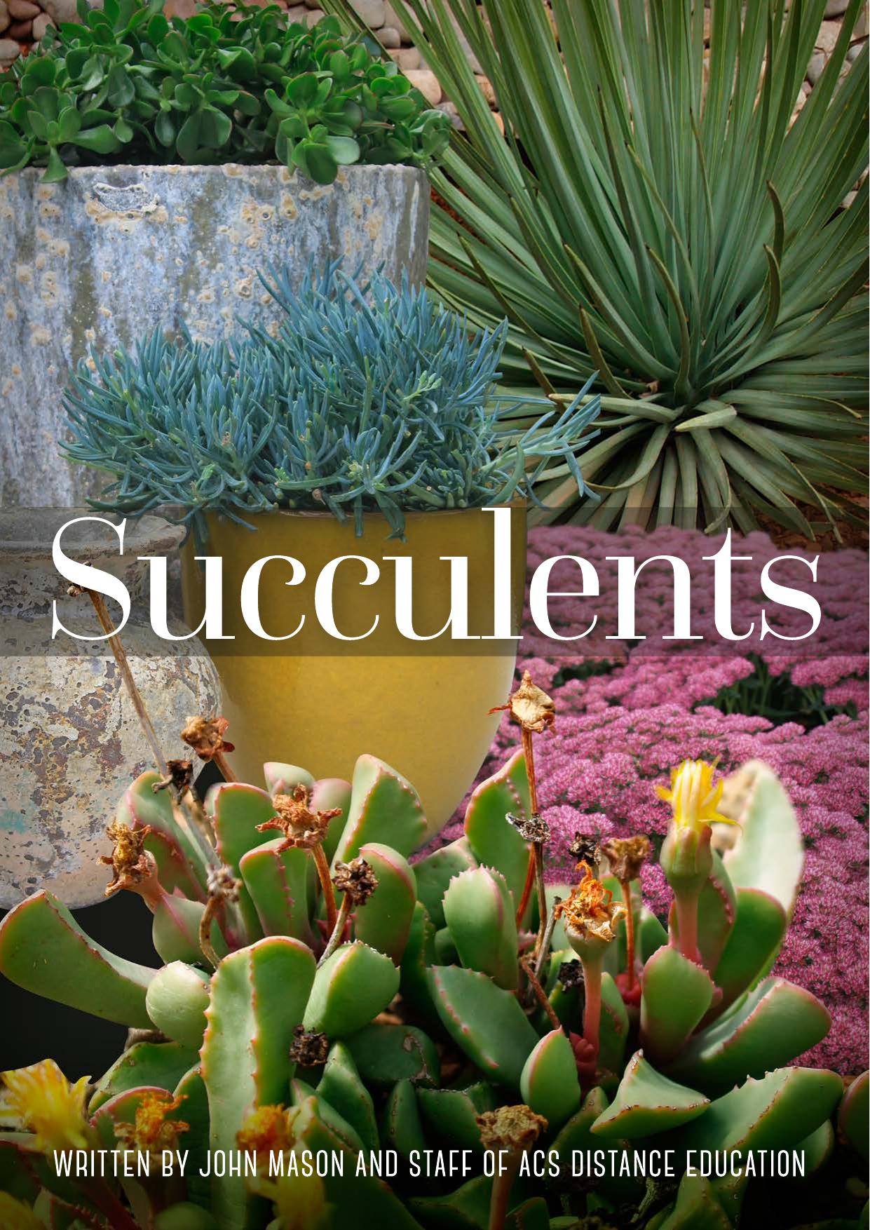 Succulents: The Ultimate Guide to Choosing, Designing, and Growing 200 Easy Care Plants by Unknow