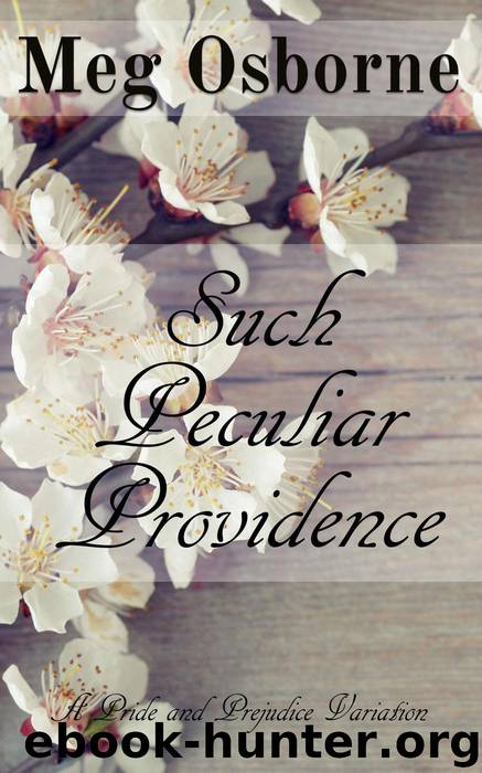 Such Peculiar Providence by Meg Osborne