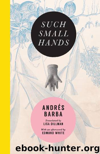 Such Small Hands by Andrés Barba