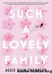 Such a Lovely Family by Aggie Blum Thompson