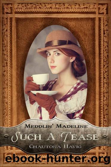 Such a Tease by Chautona Havig