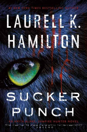 Sucker Punch (Anita Blake, Vampire Hunter) by Laurell K. Hamilton