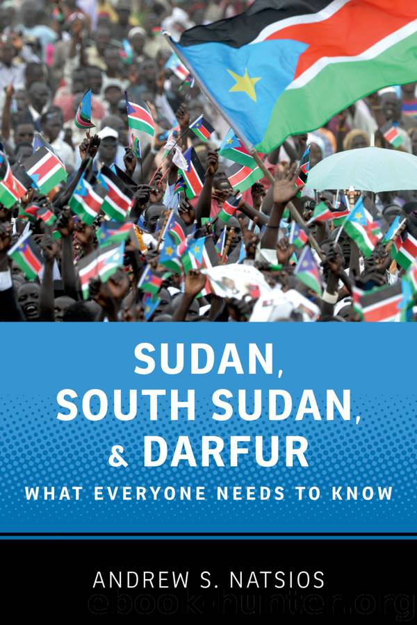 Sudan, South Sudan, and Darfur by Natsios Andrew S