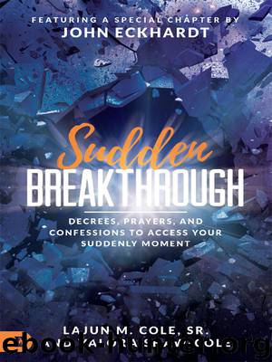 Sudden Breakthrough by LaJun M. Cole