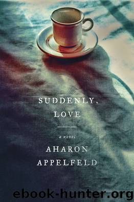 Suddenly, Love by Aharon Appelfeld