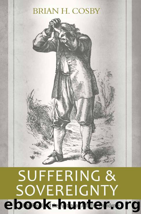 Suffering and Sovereignty: John Flavel and the Puritans on Afflictive Providence by Brian H. Cosby