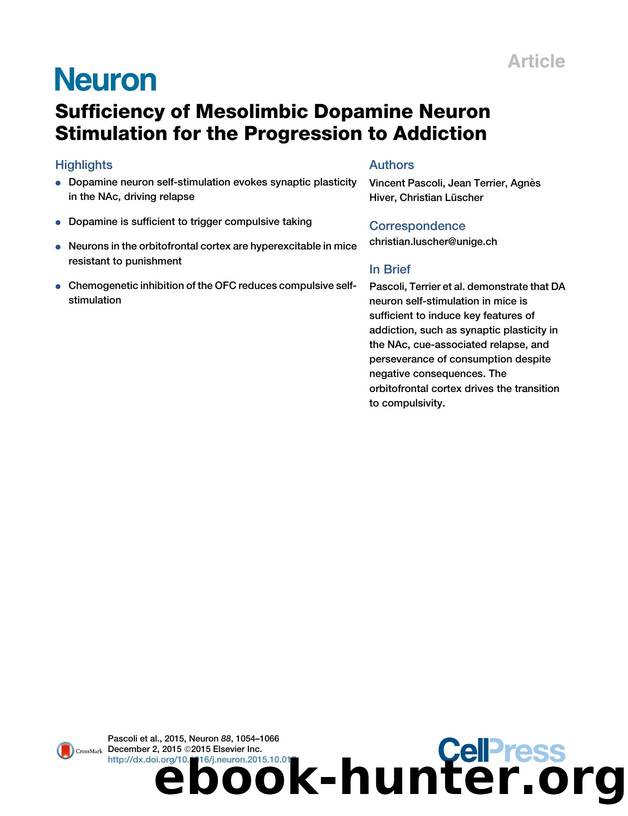 Sufficiency of Mesolimbic Dopamine Neuron Stimulation for the Progression to Addiction by Vincent Pascoli & Jean Terrier & Agnès Hiver & Christian Lüscher