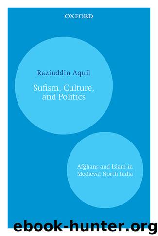 Sufism, Culture, and Politics: Afghans and Islam in Medieval North India by Raziuddin Aquil