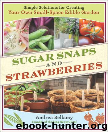 Sugar Snaps and Strawberries by Andrea Bellamy