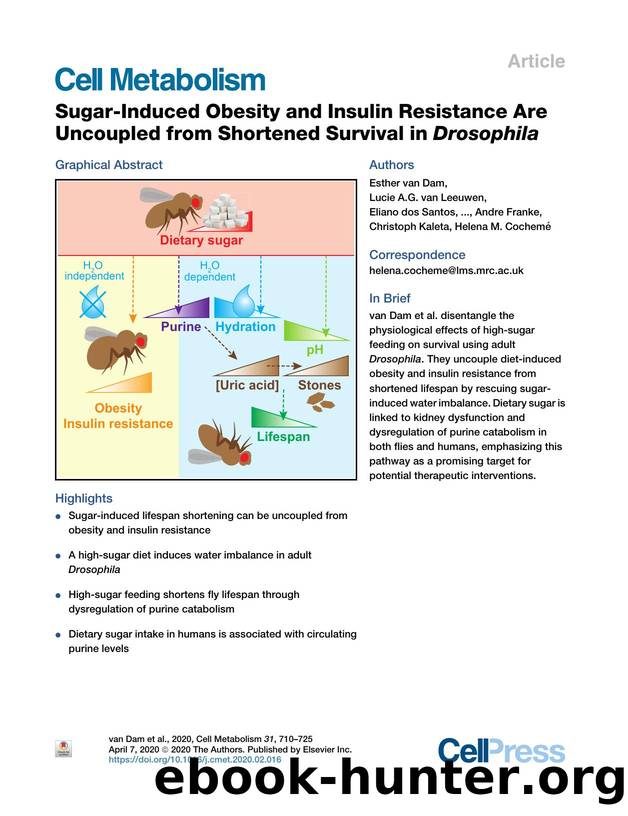 Sugar-Induced Obesity and Insulin Resistance Are Uncoupled from Shortened Survival in Drosophila by unknow