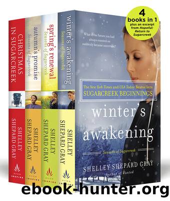 Sugarcreek Beginnings by Shelley Shepard Gray