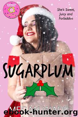 Sugarplum: a BBW Christmas romance (Sweet Curves Book 4) by Megan Wade