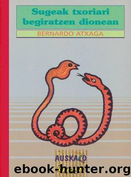 Sugeak Txoriari Begiratzen Dionean (EUS) by Bernardo Atxaga