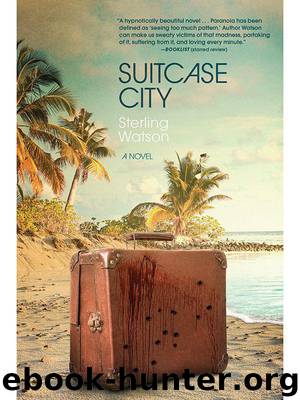Suitcase City by Watson Sterling