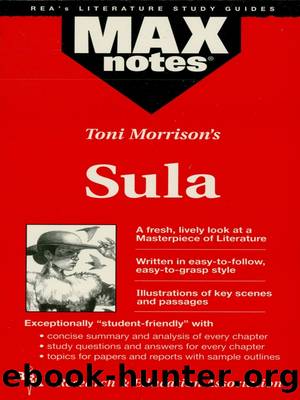 Sula: MAXNotes Literature Guide by Anita Price Davis