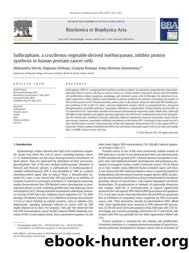 Sulforaphane, a cruciferous vegetable-derived isothiocyanate, inhibits protein synthesis in human prostate cancer cells by Aleksandra Wiczk & Dagmara Hofman & Grażyna Konopa & Anna Herman-Antosiewicz