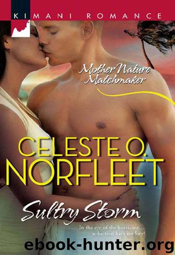 Sultry Storm (Kimani Romance) by Norfleet Celeste O