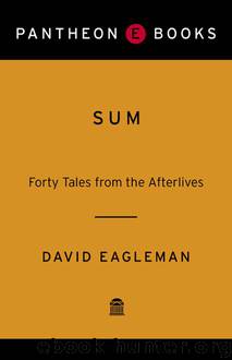 Sum: Forty Tales from the Afterlives by Eagleman David
