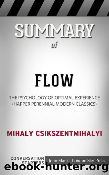 Summary of Flow by Paul Mani