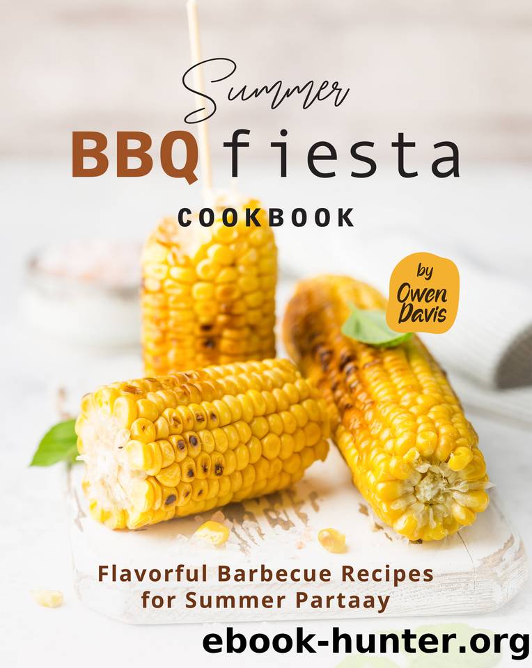 Summer BBQ Fiesta Cookbook: Flavorful Barbecue Recipes for Summer Partaay by Davis Owen