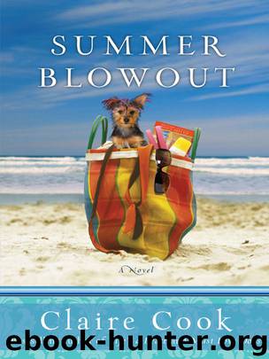 Summer Blowout by Claire Cook