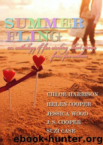 Summer Fling by J. S. Cooper