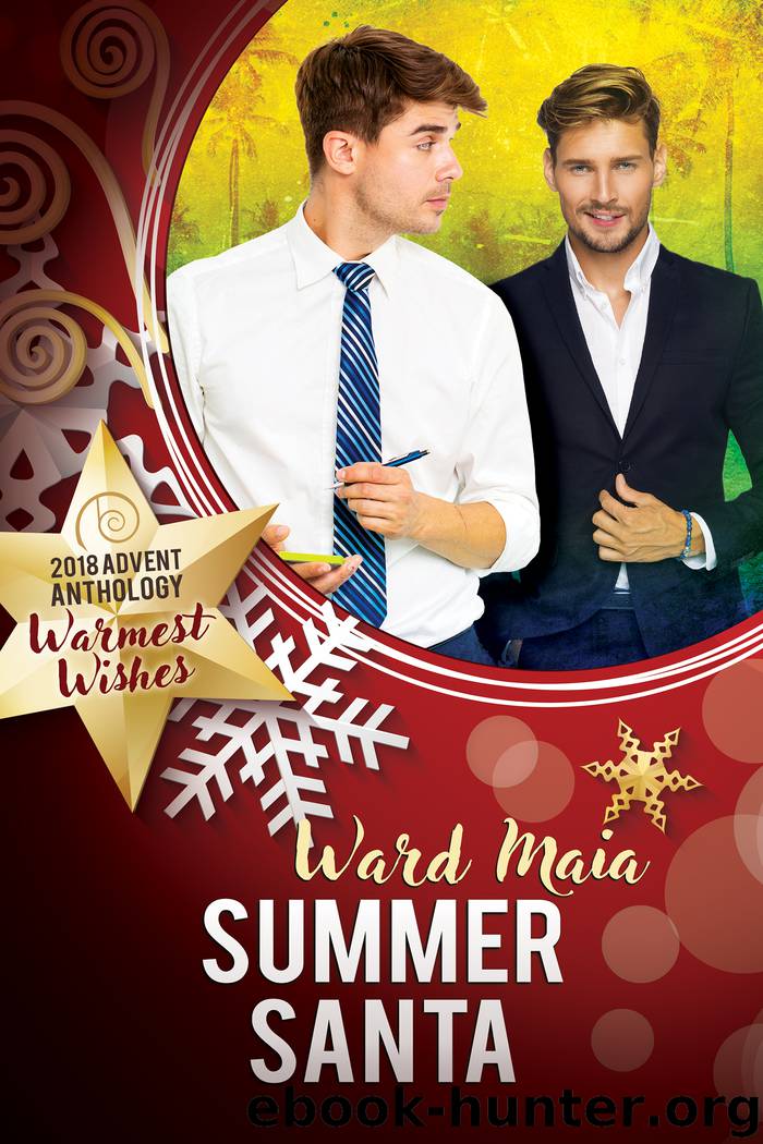 Summer Santa by Ward Maia