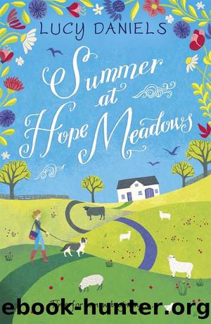 Summer at Hope Meadows by Daniels Lucy