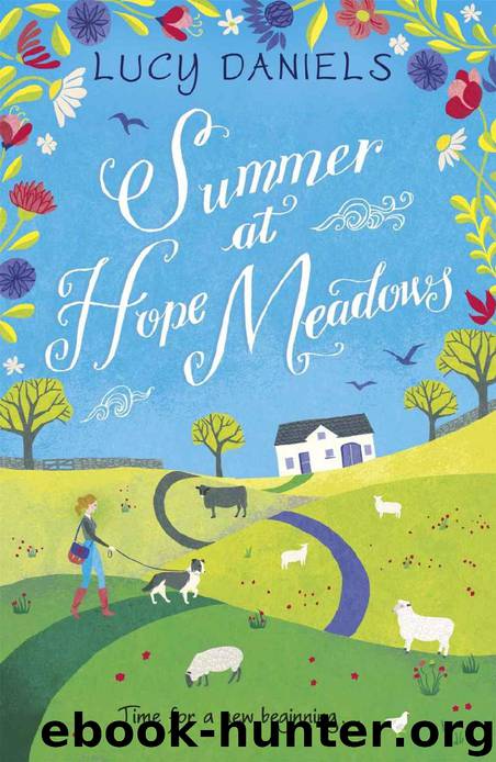 Summer at Hope Meadows: the perfect feel-good summer read (Animal Ark Revisited Book 1) by Lucy Daniels