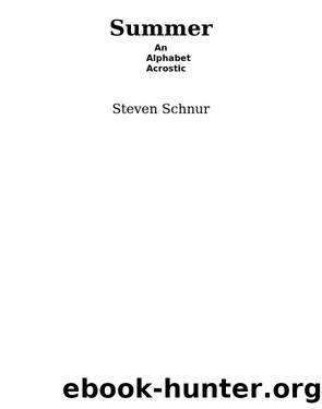 Summer by Steven Schnur