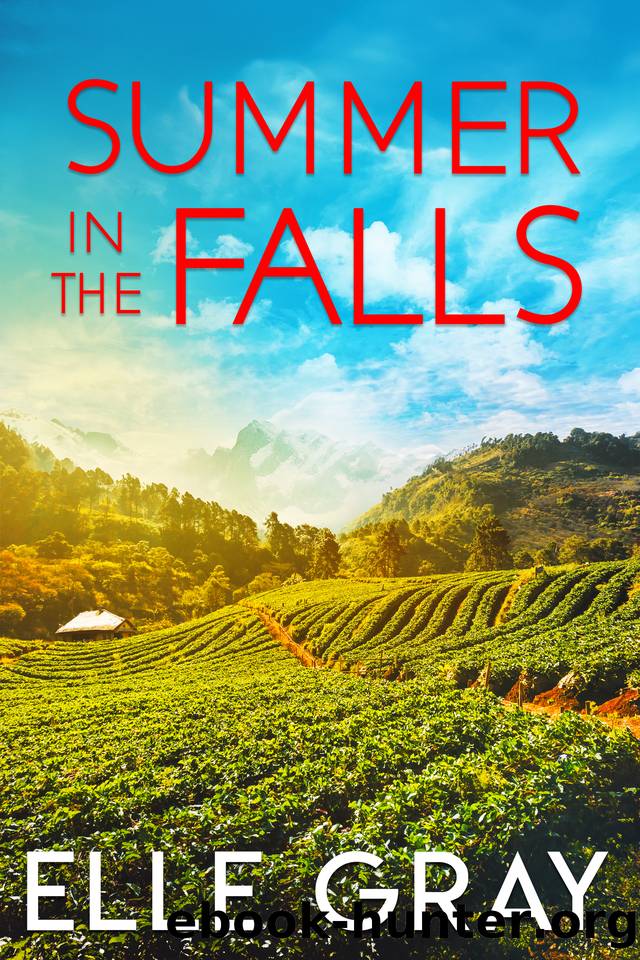 Summer in the Falls (A Sweetwater Falls Mystery Book 9) by Elle Gray