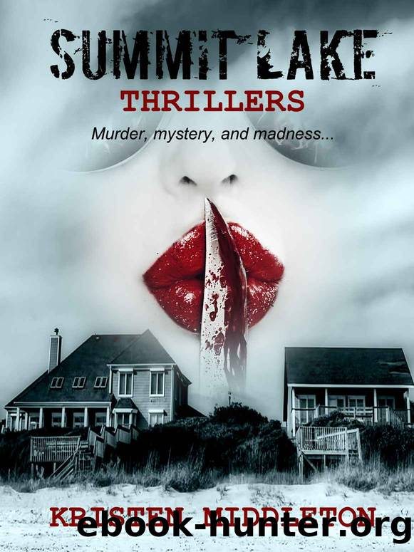 Summit Lake Thrillers by Kristen Middleton