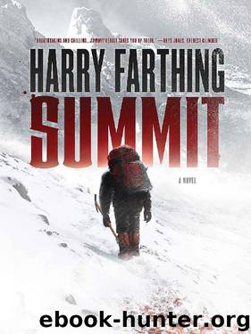 Summit: A Novel by Harry Farthing