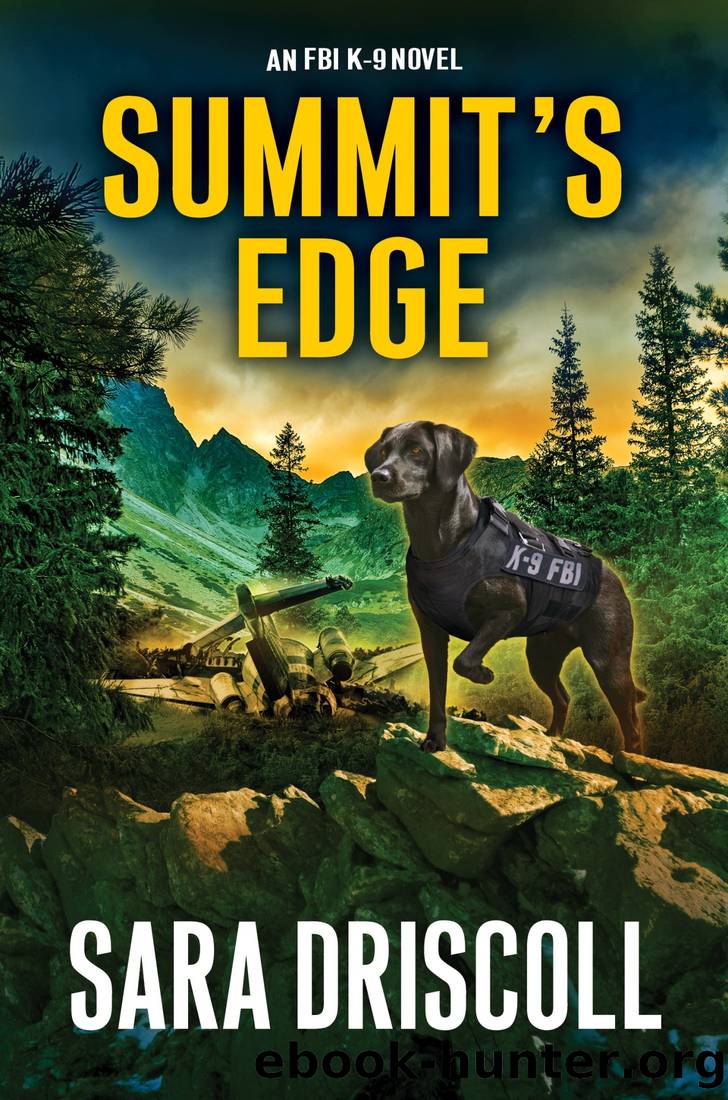 Summitâs Edge by Sara Driscoll