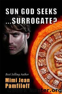 Sun God Seeks...Surrogate? (Accidentally Yours) by Mimi Jean Pamfiloff