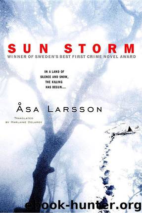 Sun Storm by Asa Larsson