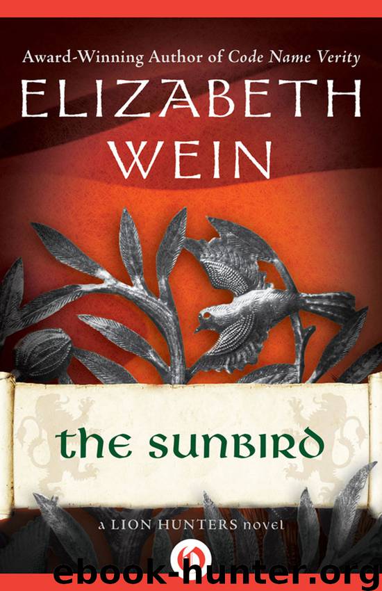 Sunbird by Elizabeth Wein