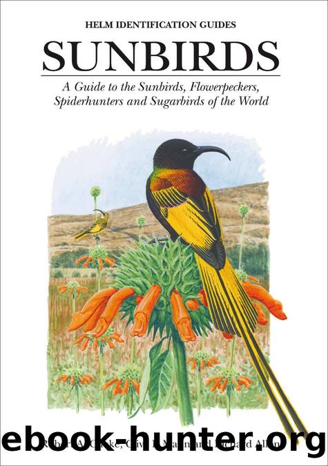 Sunbirds by Clive F. Mann